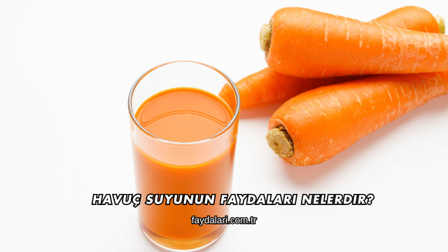 Havuç Suyunun Faydaları Nelerdir?