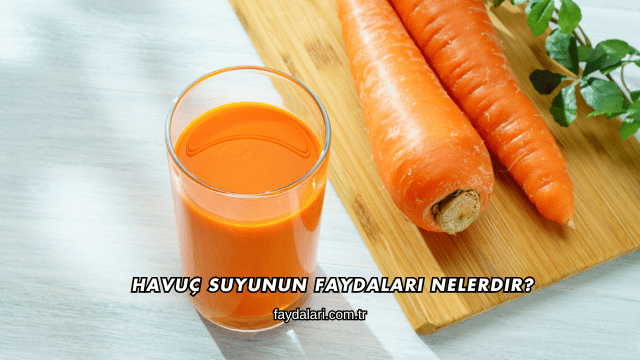 Havuç Suyunun Faydaları Nelerdir?