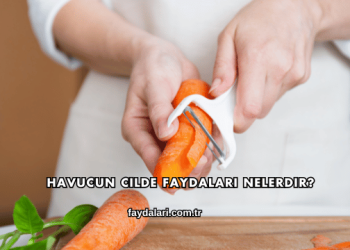 Havucun Cilde Faydaları Nelerdir?