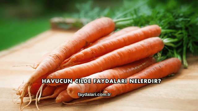 Havucun Cilde Faydaları Nelerdir?