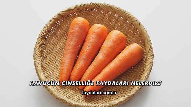 Havucun Cinselliğe Faydaları Nelerdir?