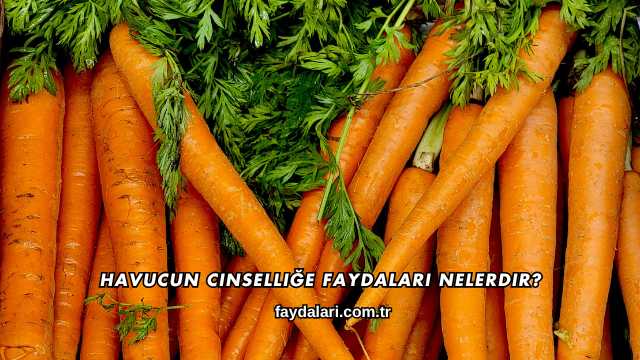 Havucun Cinselliğe Faydaları Nelerdir?