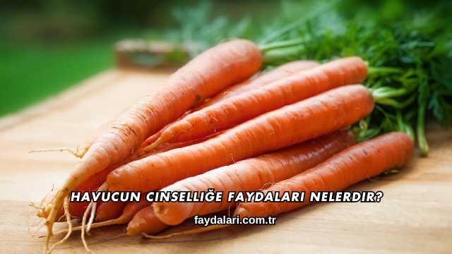 Havucun Cinselliğe Faydaları Nelerdir?