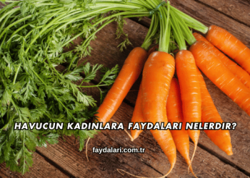 Havucun Kadınlara Faydaları Nelerdir?