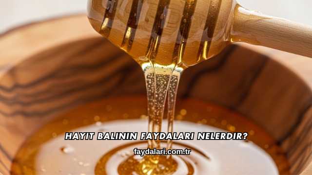 Hayıt Balının Faydaları Nelerdir?