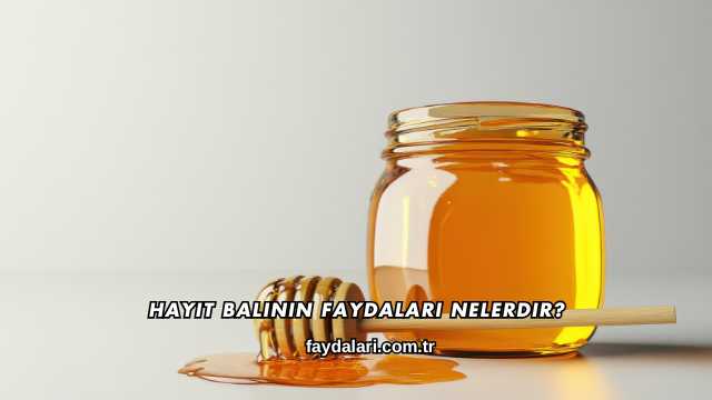 Hayıt Balının Faydaları Nelerdir?