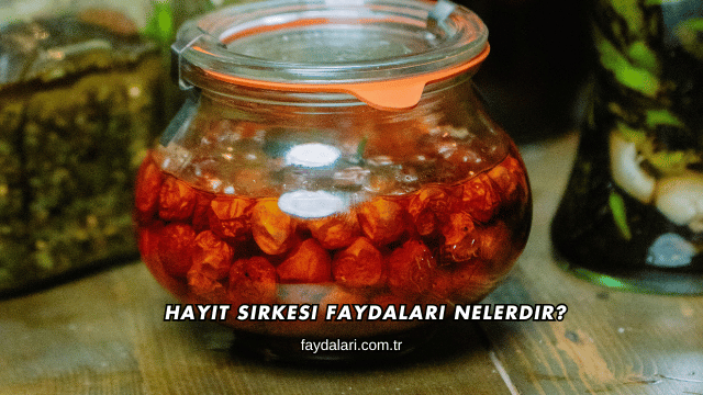 Hayıt Sirkesi Faydaları Nelerdir?