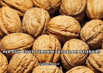 Her Gün Ceviz Yemenin Faydaları Nelerdir?