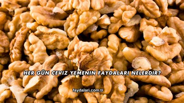 Her Gün Ceviz Yemenin Faydaları Nelerdir?