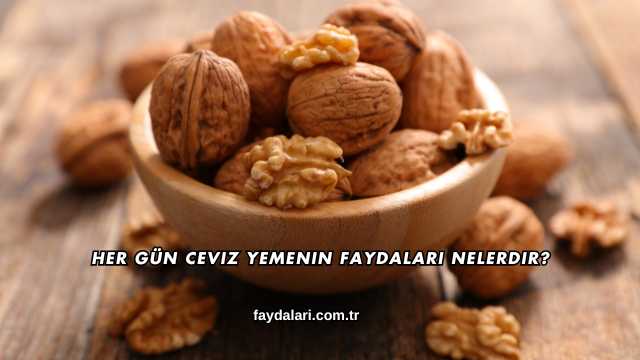 Her Gün Ceviz Yemenin Faydaları Nelerdir?