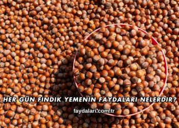 Her Gün Fındık Yemenin Faydaları Nelerdir?