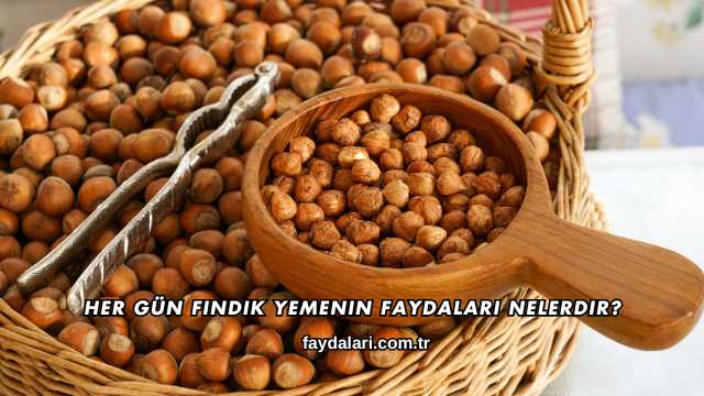Her Gün Fındık Yemenin Faydaları Nelerdir?