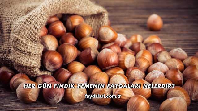 Her Gün Fındık Yemenin Faydaları Nelerdir?