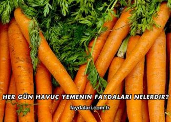 Her Gün Havuç Yemenin Faydaları Nelerdir?