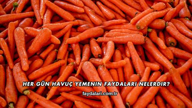 Her Gün Havuç Yemenin Faydaları Nelerdir?