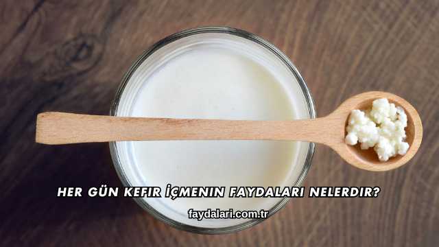 Her Gün Kefir İçmenin Faydaları Nelerdir?