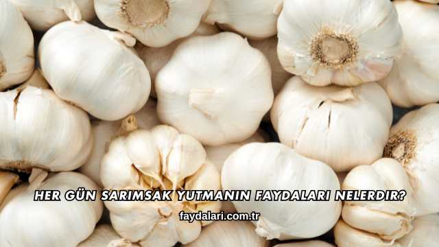 Her Gün Sarımsak Yutmanın Faydaları Nelerdir?