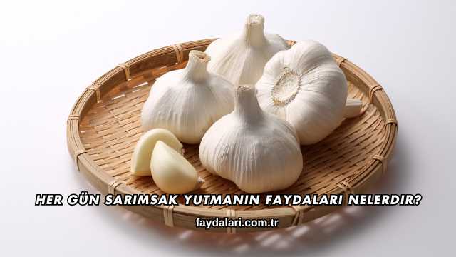 Her Gün Sarımsak Yutmanın Faydaları Nelerdir?