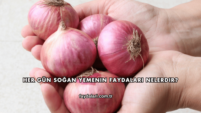 Her Gün Soğan Yemenin Faydaları Nelerdir?