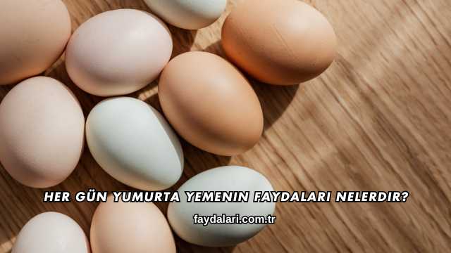 Her Gün Yumurta Yemenin Faydaları Nelerdir?