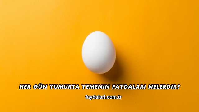 Her Gün Yumurta Yemenin Faydaları Nelerdir?