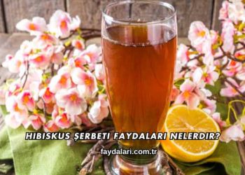 Hibiskus Şerbeti Faydaları Nelerdir?