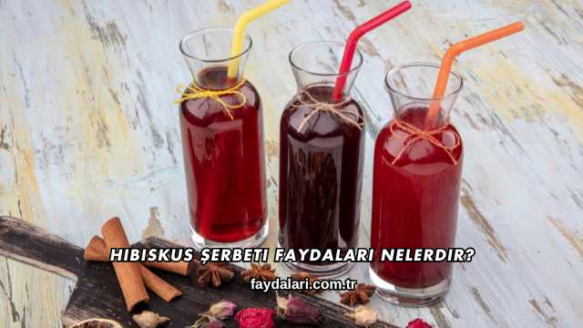 Hibiskus Şerbeti Faydaları Nelerdir?