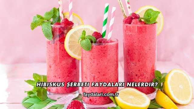 Hibiskus Şerbeti Faydaları Nelerdir?
