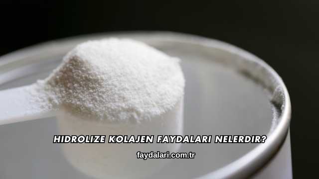 Hidrolize Kolajen Faydaları Nelerdir?