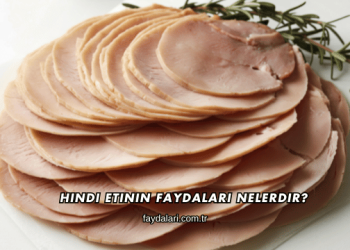 Hindi Etinin Faydaları Nelerdir?