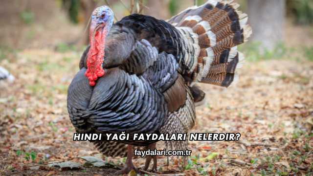 Hindi Yağı Faydaları Nelerdir?