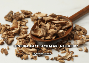 Hindiba Çayı Faydaları Nelerdir?
