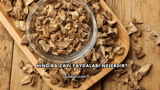 Hindiba Çayı Faydaları Nelerdir?