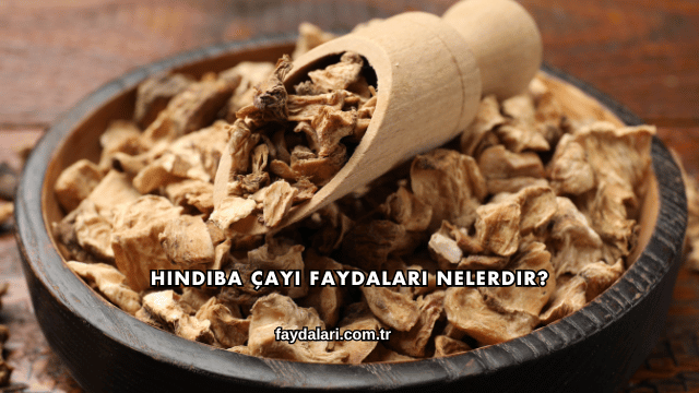 Hindiba Çayı Faydaları Nelerdir?