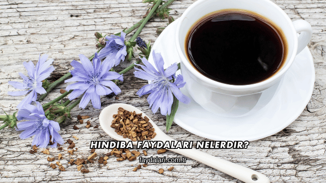 Hindiba Faydaları Nelerdir?