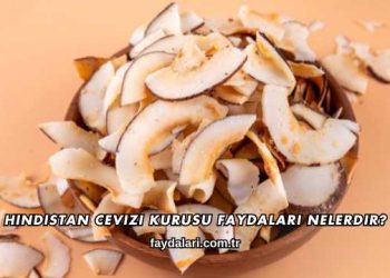 Hindistan Cevizi Kurusu Faydaları Nelerdir?