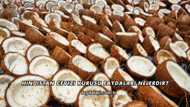 Hindistan Cevizi Kurusu Faydaları Nelerdir?