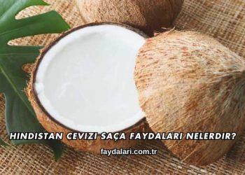 Hindistan Cevizi Saça Faydaları Nelerdir?