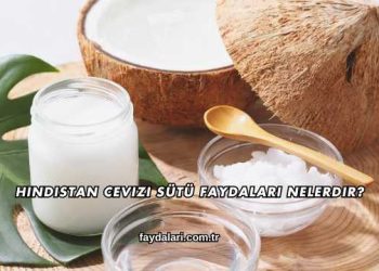 Hindistan Cevizi Sütü Faydaları Nelerdir?