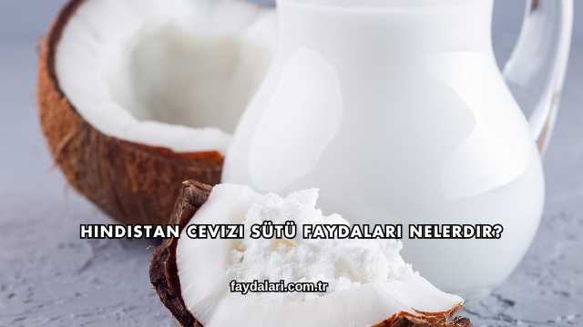 Hindistan Cevizi Sütü Faydaları Nelerdir?
