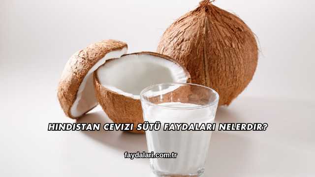Hindistan Cevizi Sütü Faydaları Nelerdir?