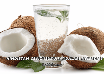 Hindistan Cevizi Suyu Faydaları Nelerdir?