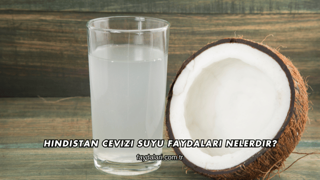 Hindistan Cevizi Suyu Faydaları Nelerdir?