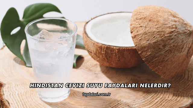 Hindistan Cevizi Suyu Faydaları Nelerdir?