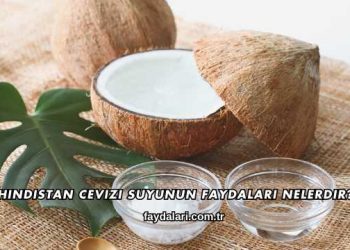 Hindistan Cevizi Suyunun Faydaları Nelerdir?
