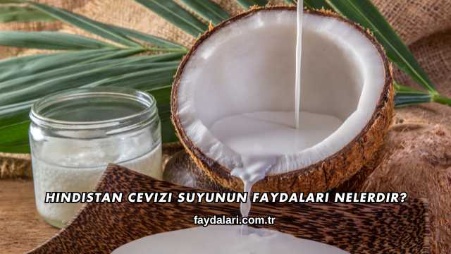 Hindistan Cevizi Suyunun Faydaları Nelerdir?