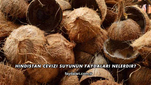 Hindistan Cevizi Suyunun Faydaları Nelerdir?