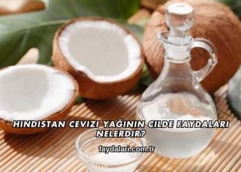 Hindistan Cevizi Yağının Cilde Faydaları Nelerdir?