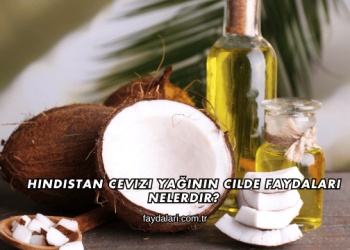 Hindistan Cevizi Yağının Cilde Faydaları Nelerdir?