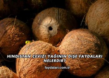 Hindistan Cevizi Yağının Dişe Faydaları Nelerdir?